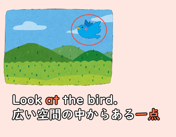 look at the bird 一点